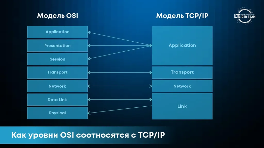 Соотношение моделей TCP/IP и OSI