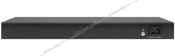 2-darajali boshqariladigan kommutator SNR-S2962-24T