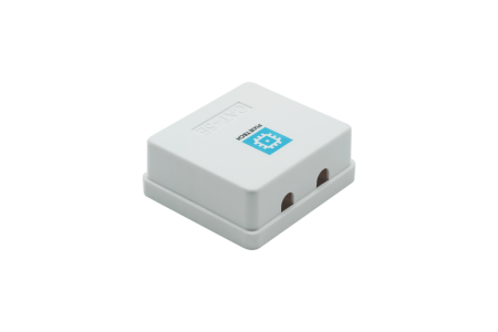 Pixietech rozetkasi (tashqi), CAT5e UTP RJ-45, 2 port