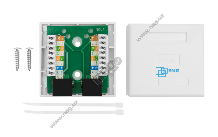 Pixietech rozetkasi (tashqi), CAT5e UTP RJ-45, 2 port